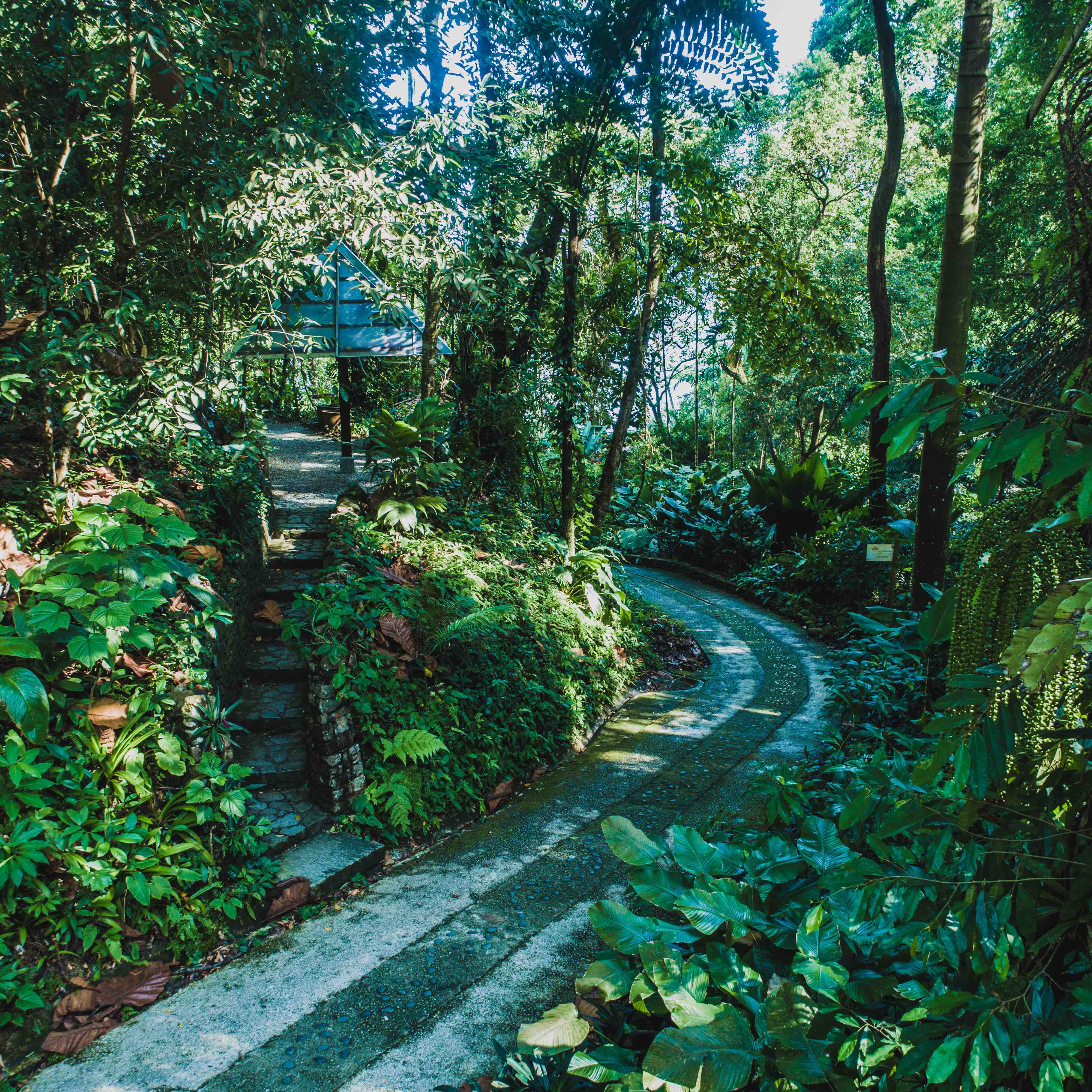 Tropical Spice Garden Penang